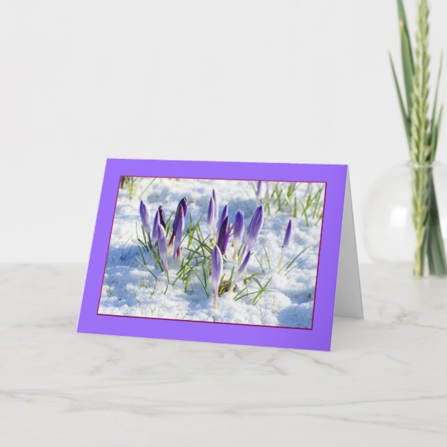 Spring Snow Mother's Day Card (Front)