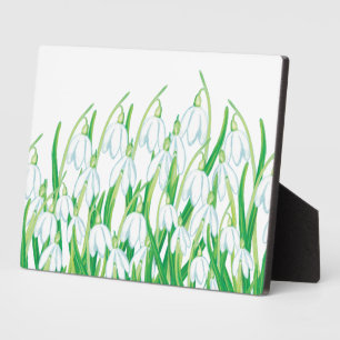 Spring Snowdrops   Plaque