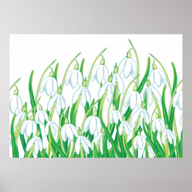 Spring Snowdrops  Poster (Front)