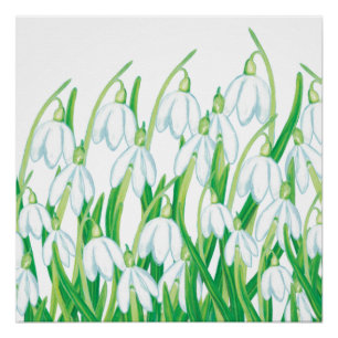 Spring Snowdrops   Poster