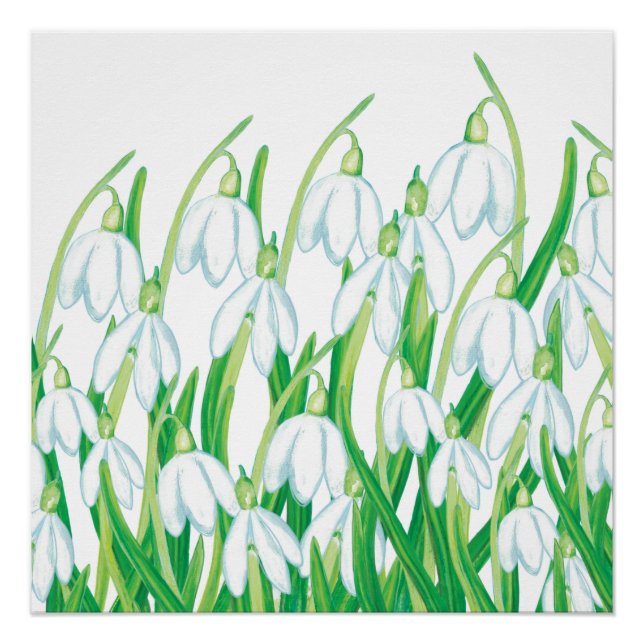 Spring Snowdrops   Poster (Front)