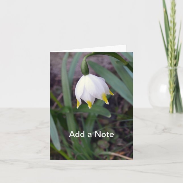 Spring Snowflake Leucojum vernum Customisable Note Card (Front)