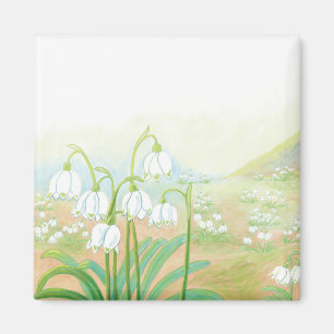 Spring Snowflake, Leucojum vernum Illustration Magnet