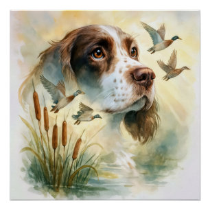 Spring Spaniel and Mallard Ducks Double Exposure Poster
