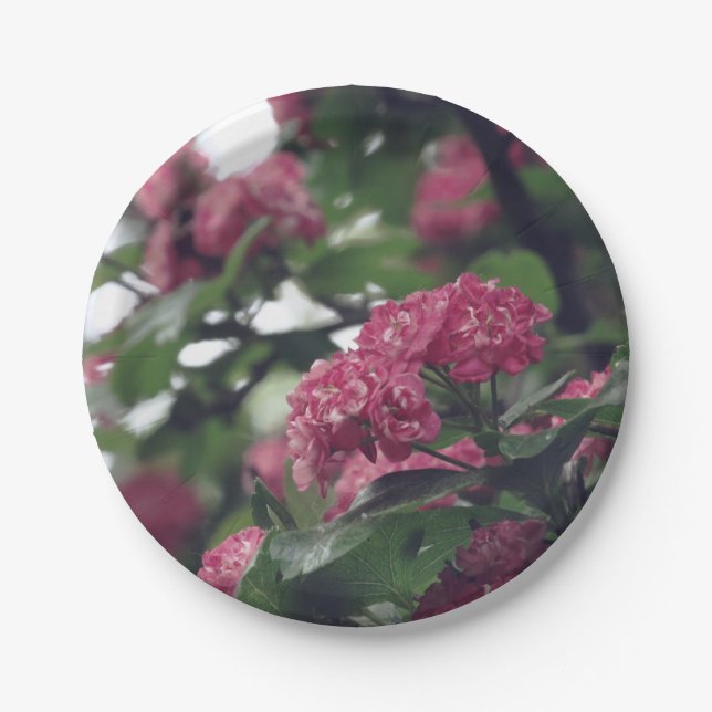 Spring Sprung Custom Paper Plates 7 in (Front)