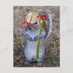 Spring Squirrel with Flower Pedal Hat Postcard