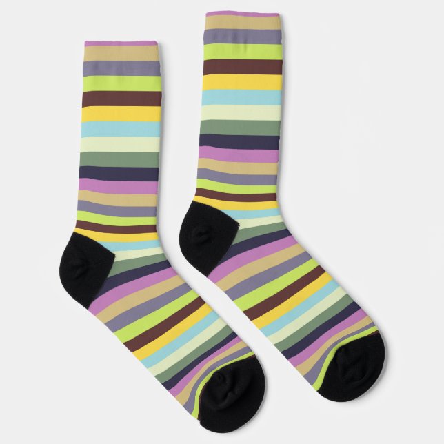 Spring Stripes Socks (Right)