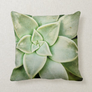 Spring Succulent Cushion