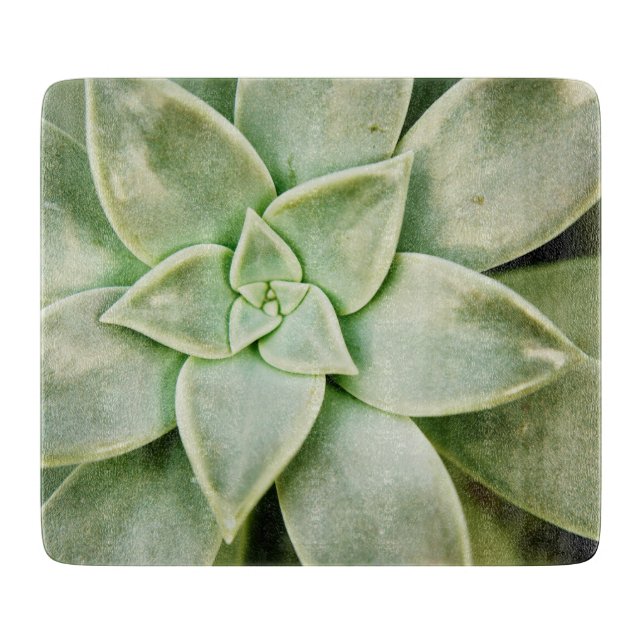 Spring Succulent Cutting Board (Front)