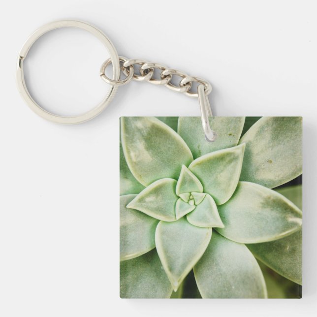 Spring Succulent Key Ring (Front)