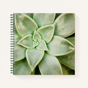 Spring Succulent Notebook