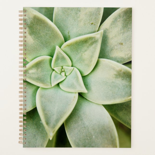 Spring Succulent Planner (Front)