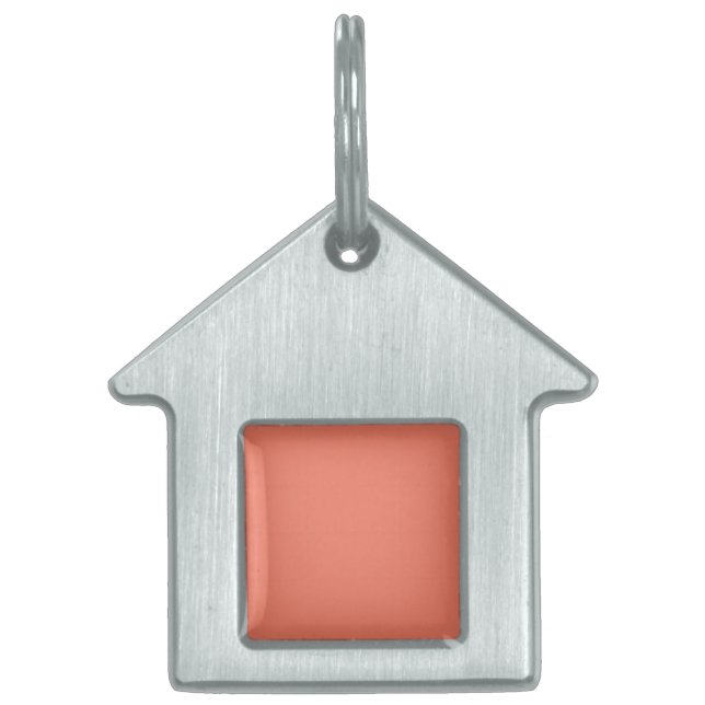 Spring Summer Colour Peach Pink Pet ID Tag (Front)