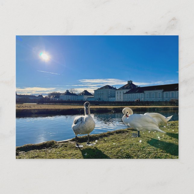 Spring Sun  Postcard (Front)