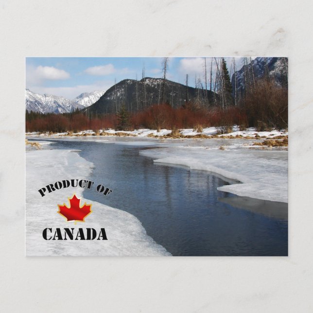 Spring Thaw in Banff Postcard (Front)