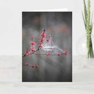 Spring Threads, card