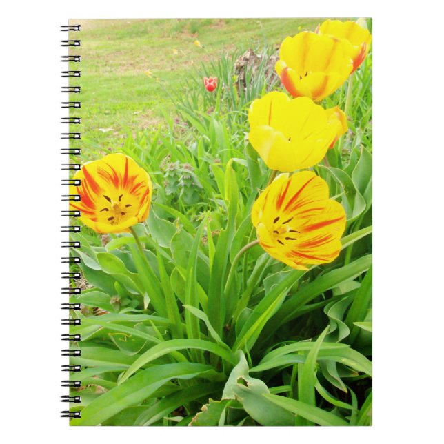 Spring Time 16 Notebook (Front)