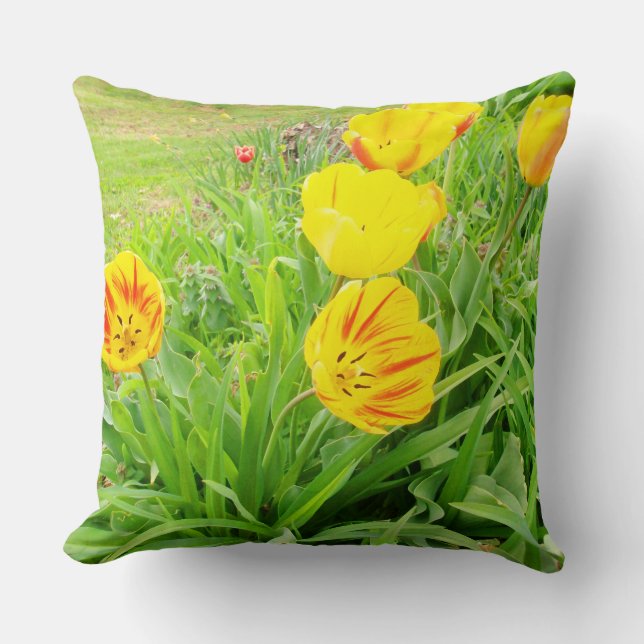 Spring Time 16 Square Pillow (Front)
