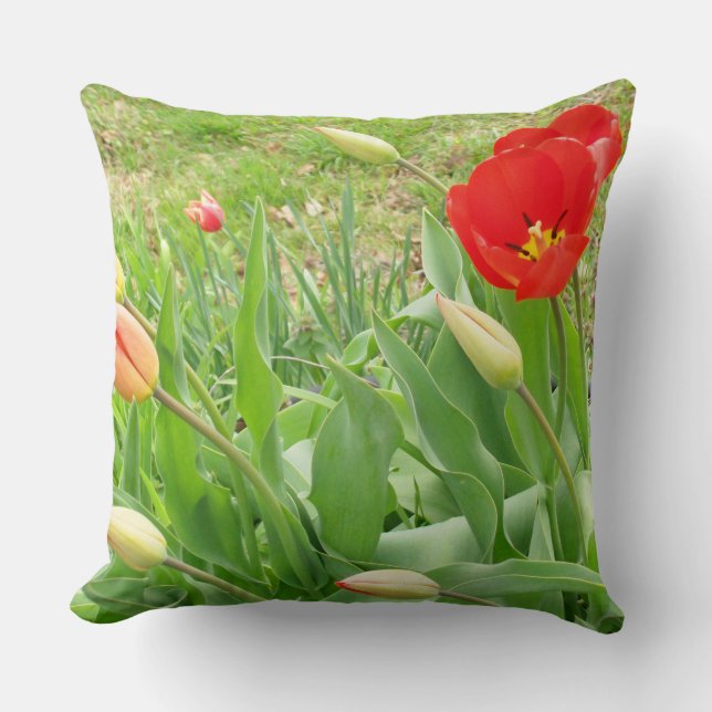 Spring Time 17 Square Pillow (Front)