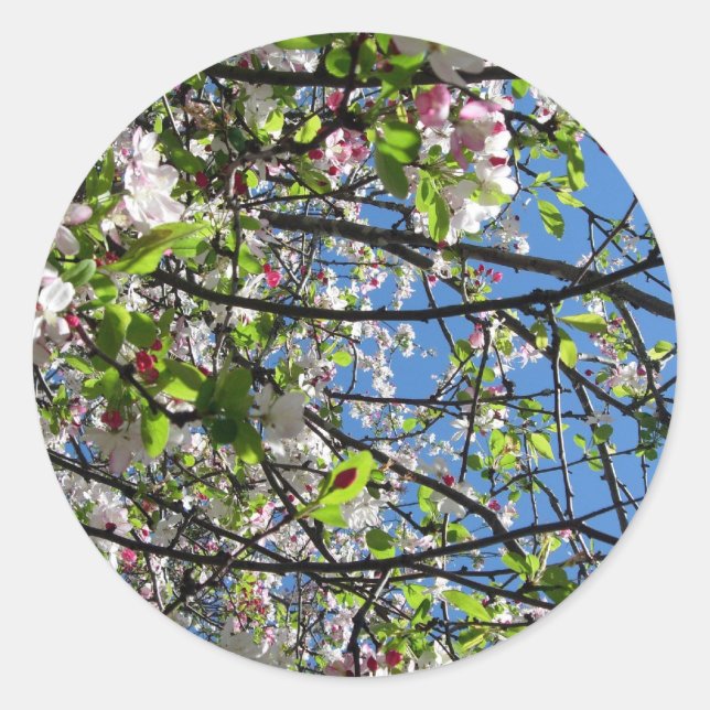 Spring Time Classic Round Sticker (Front)