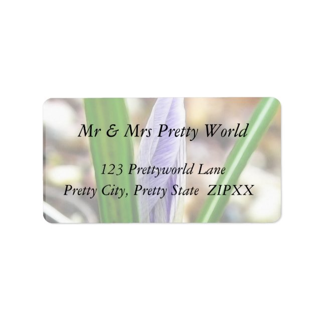 Spring Time!  Crocus Bud Label (Front)