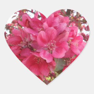Spring Time Flower Heart Sticker