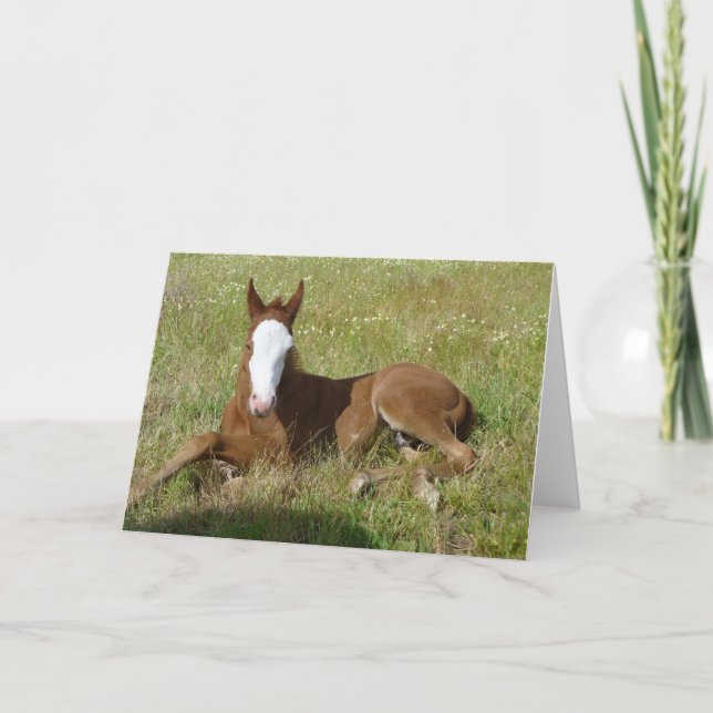 Spring time foal card (Front)