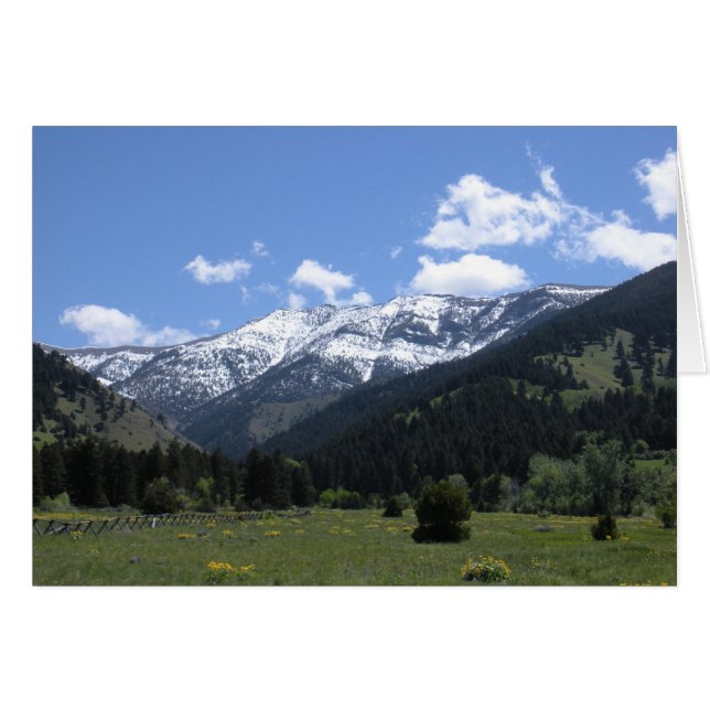 Spring Time In The Valley (Front Horizontal)