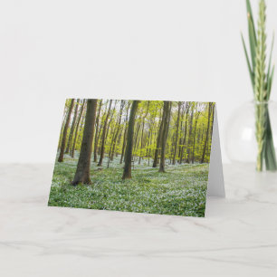 Spring to Life Card