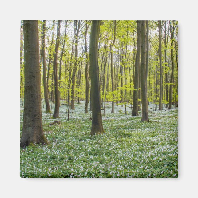 Spring to Life Magnet (Front)