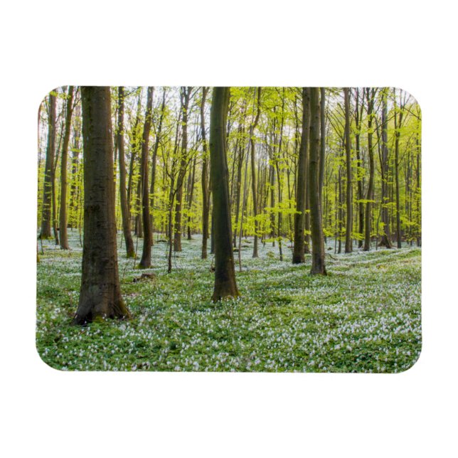 Spring to Life Magnet (Horizontal)