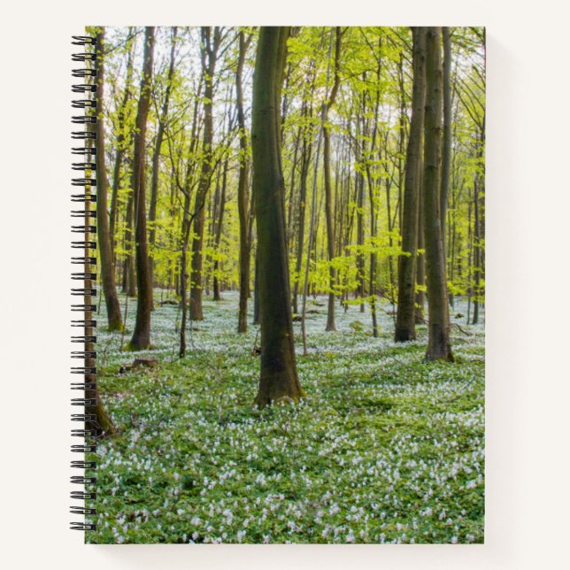 Spring to Life Notebook (Front)