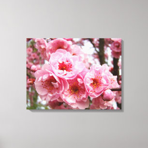 Spring Tree Blossom Flowers Canvas prints Floral