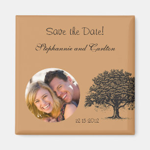 Spring Tree Brown/Black Announcement Magnet