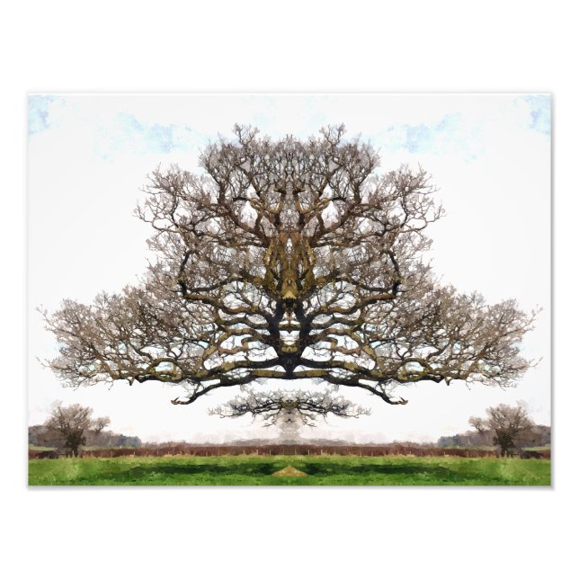 SPRING TREES PHOTO PRINT (Front)