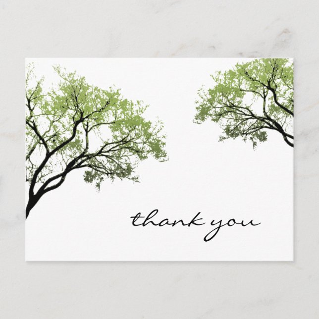 Spring Trees Silhouette Postcard (Front)