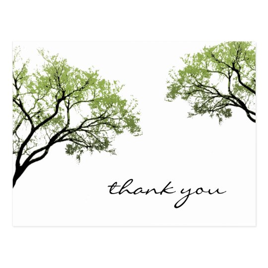 Spring Trees Silhouette Postcard
