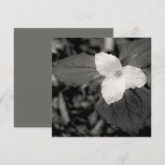 Spring Trillium Black and White  Card