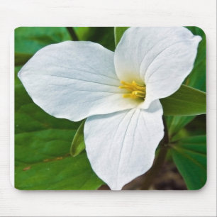 Spring Trillium Mouse Pad