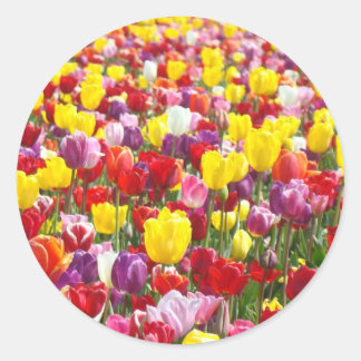 Spring Tulip Flowers Garden stickers Tulips