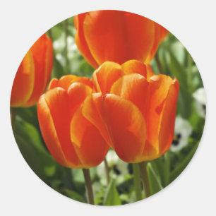 Spring Tulip Garden Classic Round Sticker