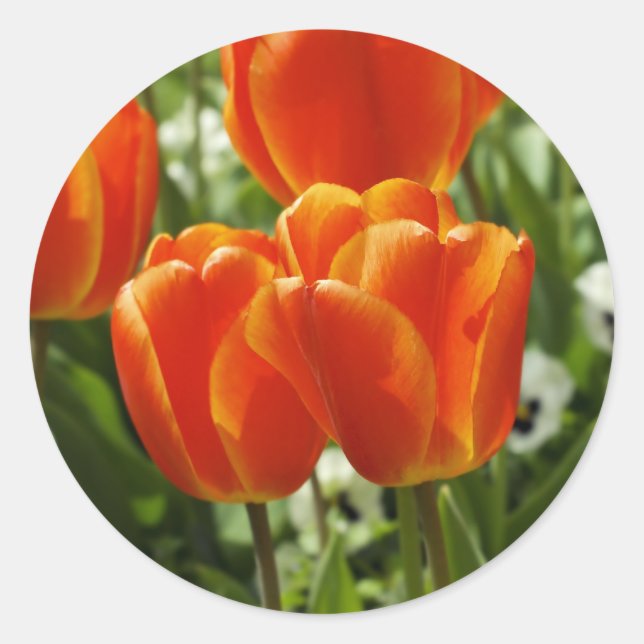 Spring Tulip Garden Classic Round Sticker (Front)