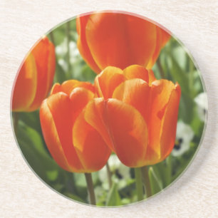 Spring Tulip Garden Coaster