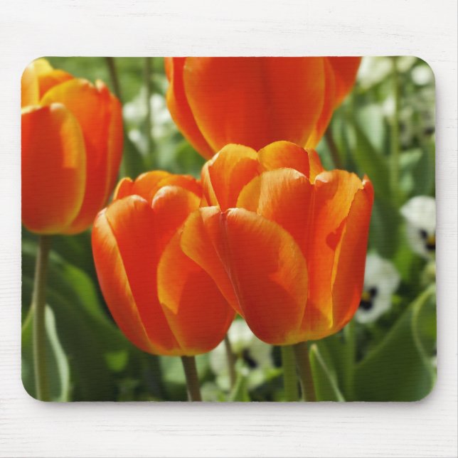 Spring Tulip Garden Mouse Pad (Front)