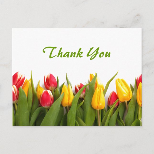 Spring Tulip Garden Thank You Postcard (Front)