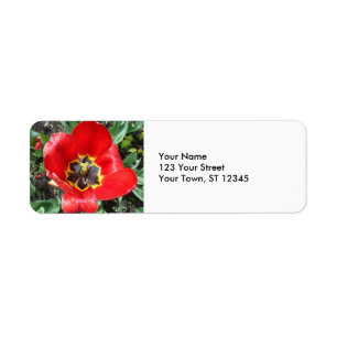 Spring Tulip Return Address Label