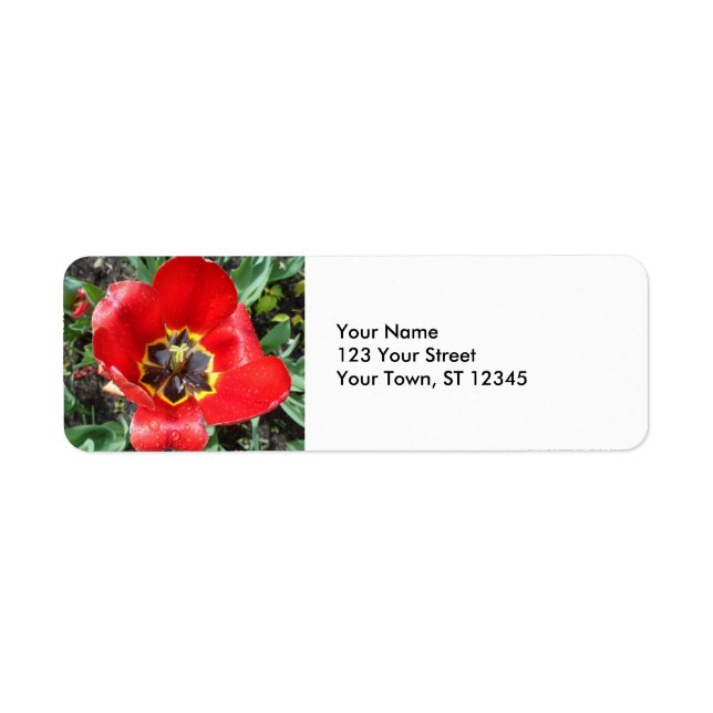 Spring Tulip Return Address Label (Front)