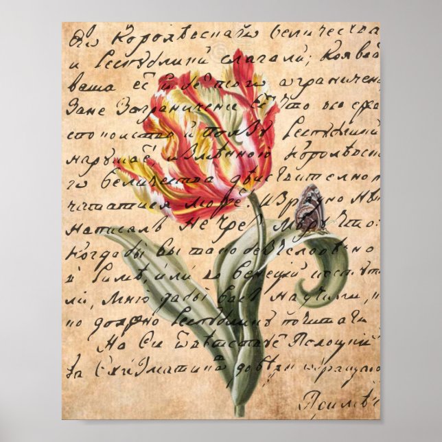 Spring Tulips and Handwriting Poster (Front)
