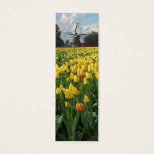 Spring Tulips and Windmill