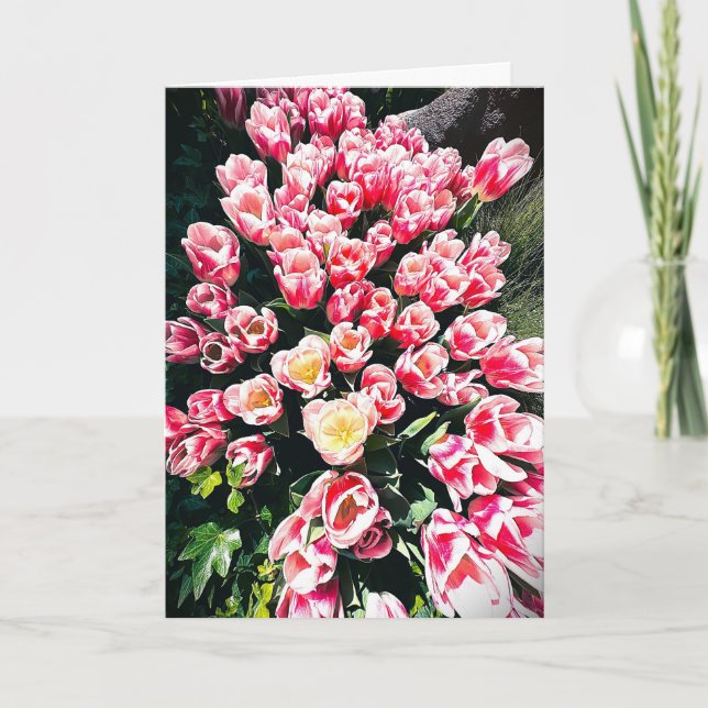 Spring Tulips Blank Card (Front)